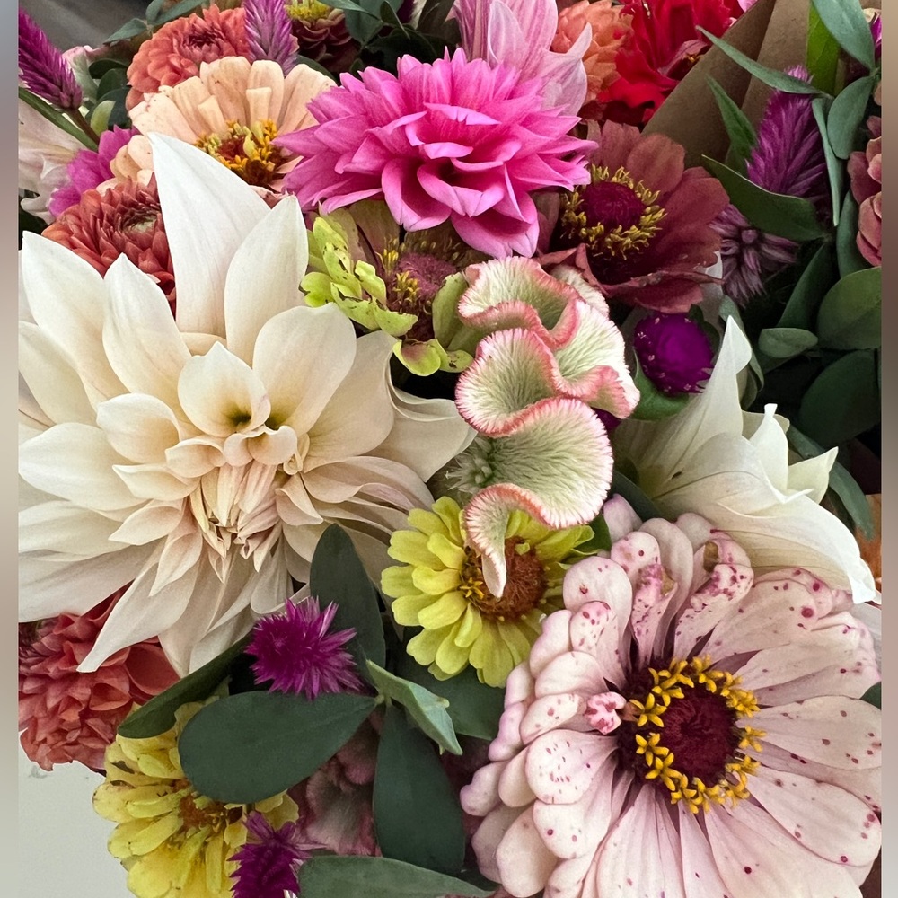 Meet your Posher, Chelsea